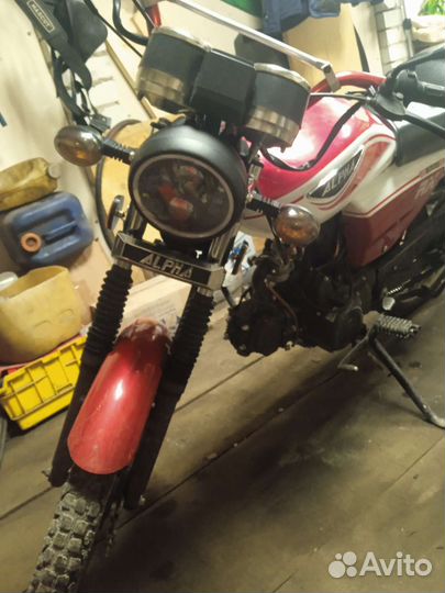 Продам alpha rx