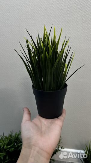 Декоративные растения искусственные