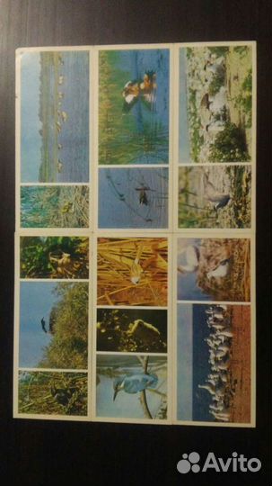 Открытки СССР