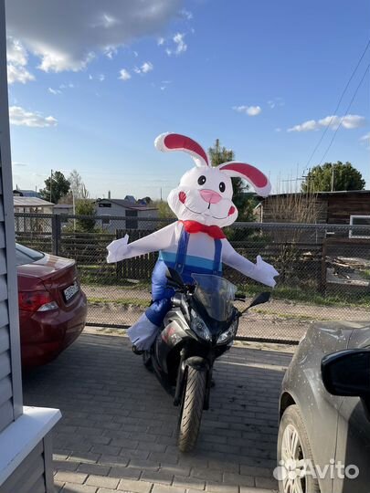 Надувной костюм зайца