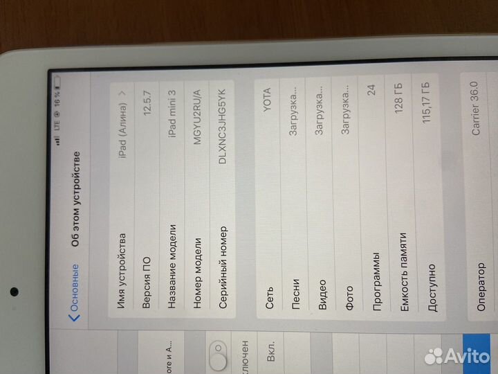 iPad mini 3 cellular