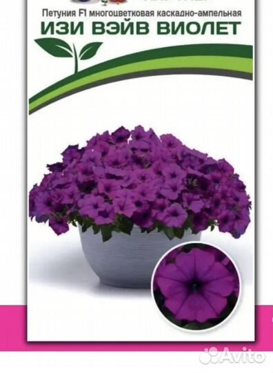 Петуния ампельная
