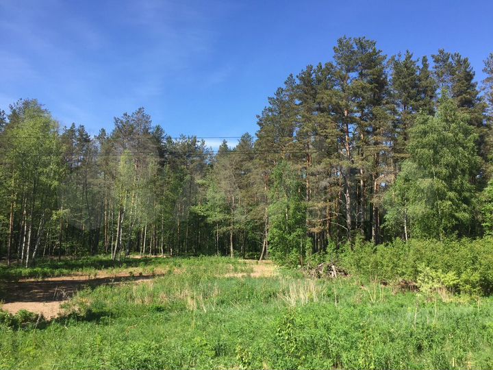 Участок 44 сот. (ИЖС)