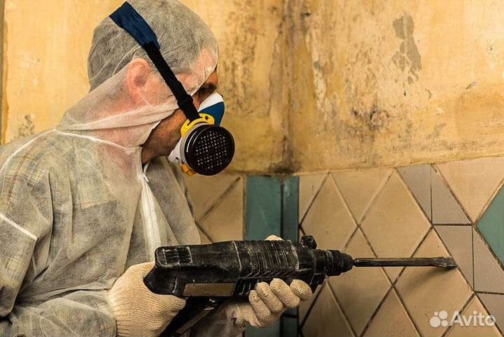 Демонтажные работы и вывоз мусора