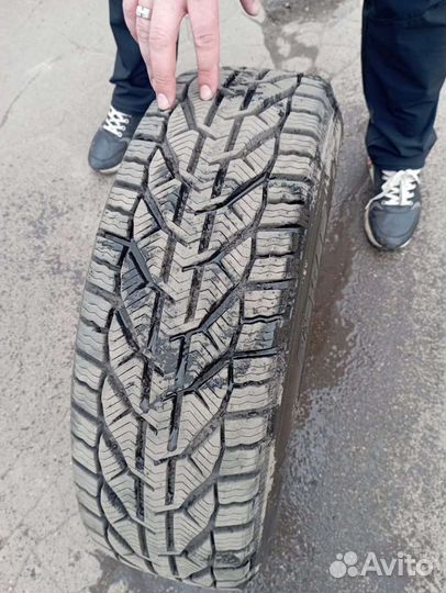 Tigar Winter 205/65 R16 95H