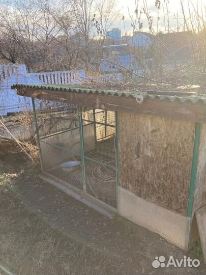 Курятник с выгулом для куриц