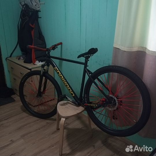 Forward sporting xx29d 2.0 disc