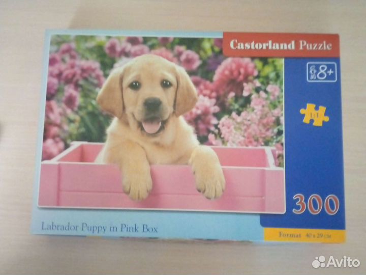 Пазлы 300 деталей