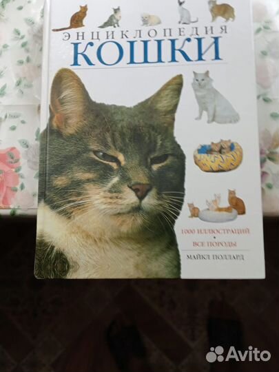 Энциклопедия