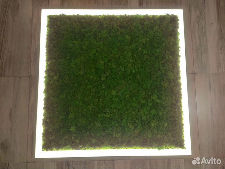 Люстра LED Квадратная со мхом Ягель 40W 540mm