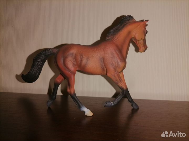 Кобыла чистокровная collecta