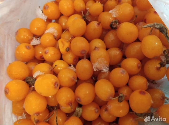 Облепиха мороженная