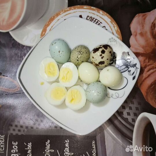Яйца перепелиные, куринные домашние