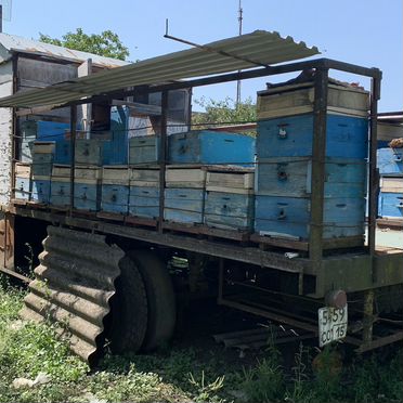 Пчелопавильон