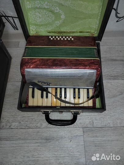 Аккордеон Малыш