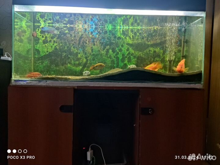 Аквариум с тумбой
