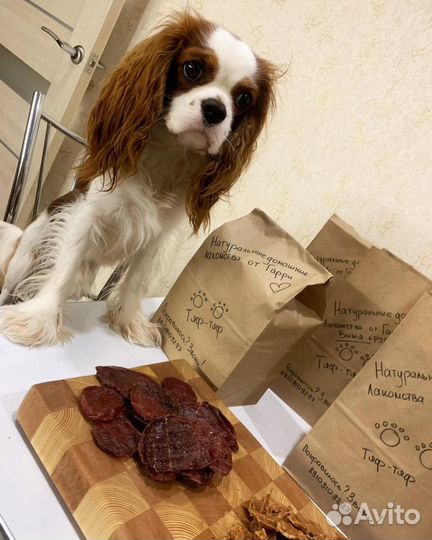 Домашние лакомства для собак