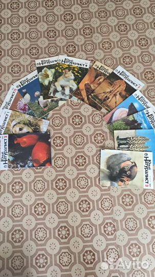 Книги о животных и растениях