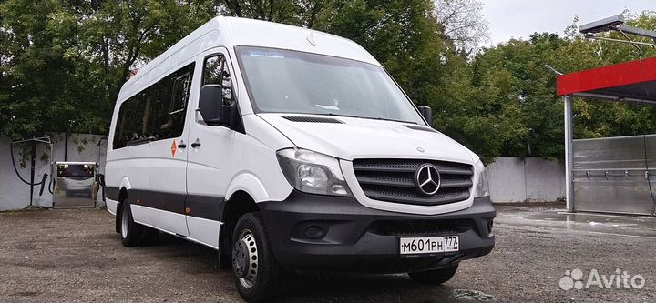 Аренда автобуса, микроавтобусов мерседес спринтер
