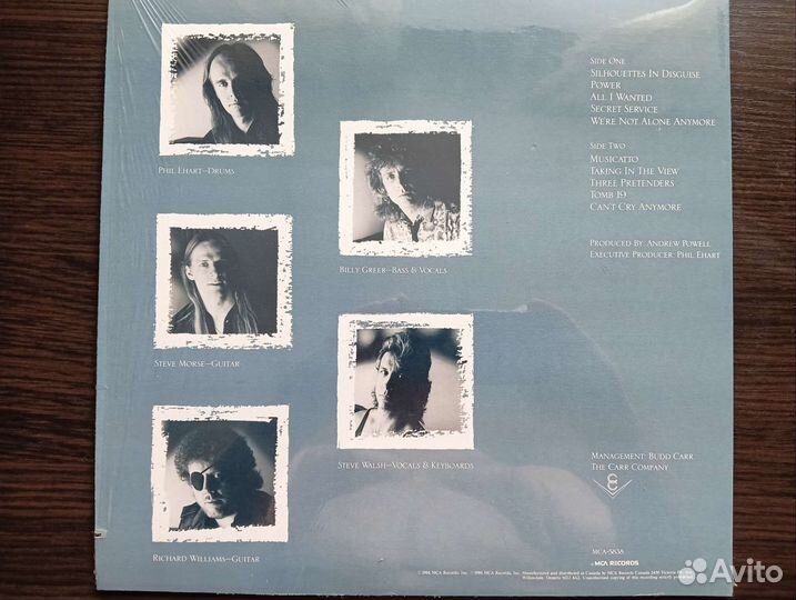 Виниловые пластинки