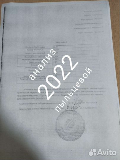 Аккурай белый