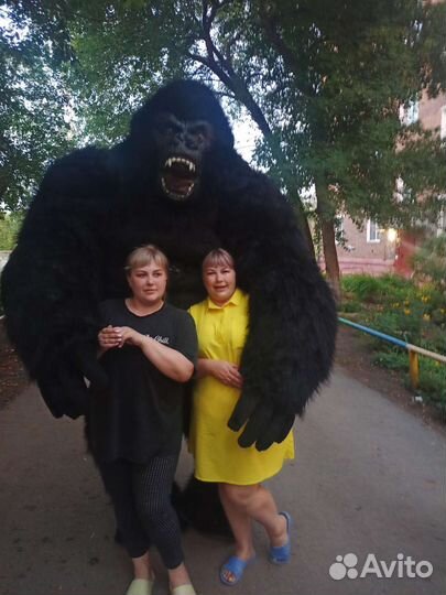 Белый мишка, кинг конг поздравление