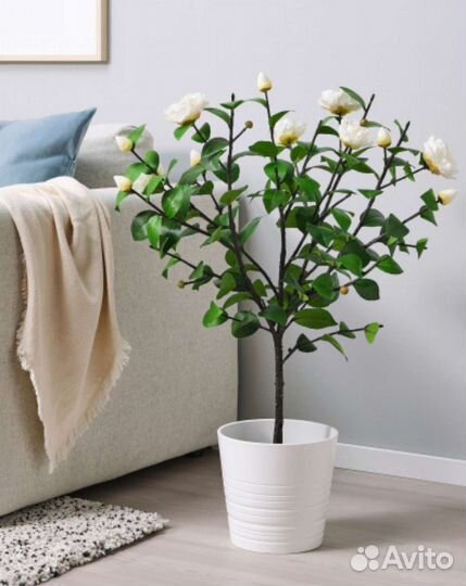 Фейка IKEA икея камелия белая, кашпо мускот