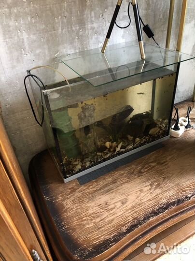 Аквариум с рыбками