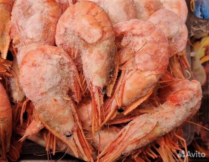 Креветка Ботан