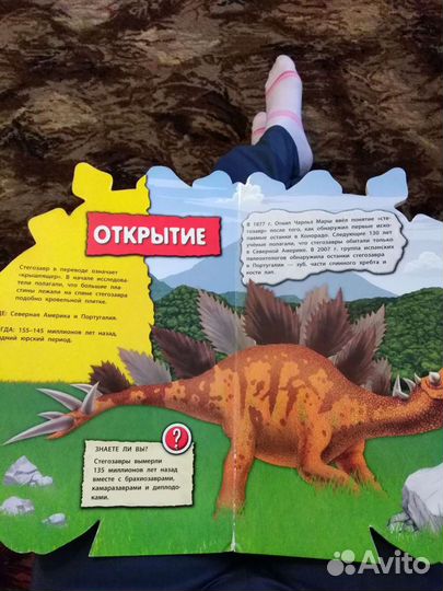 Книга детская стегозавр