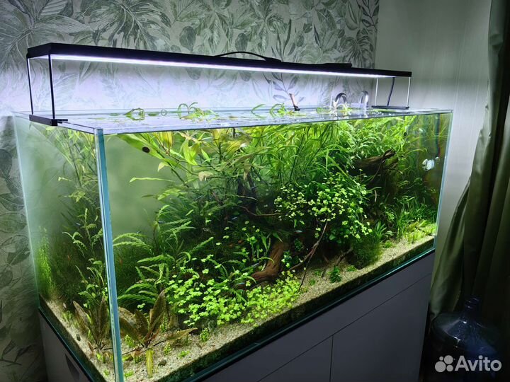 Аквариум 300 литров