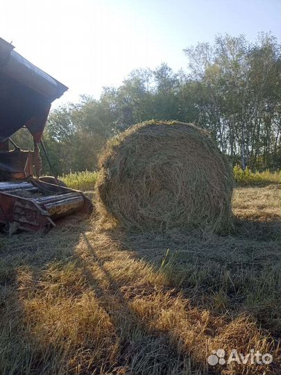 Пресс-подборщик БобруйскСельмаш ПР-145С, 1993