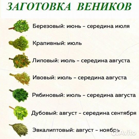 Веники банные