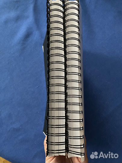 Legal Transationalism in Theory and Practice