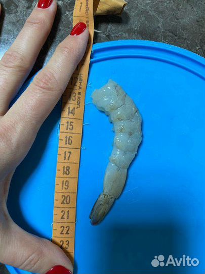 Креветки 21/25 королевские Премиум