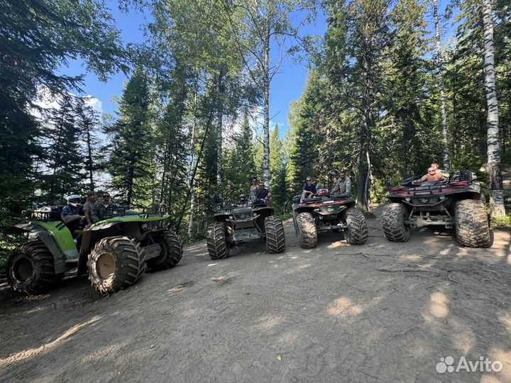 Аренда квадроцикла