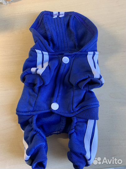 Одежда для собак