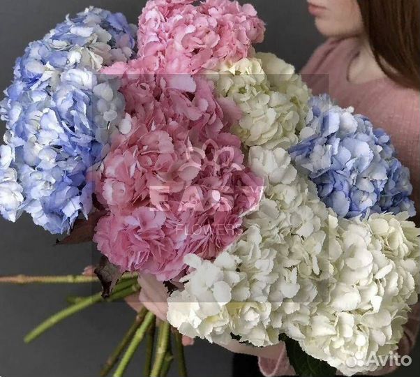 Букет цветов Гортензия Доставка цветов Цветы Букет