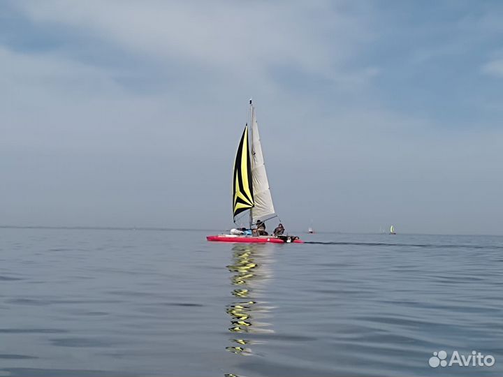 Пошью парус геннакер ассиметричный спинакер
