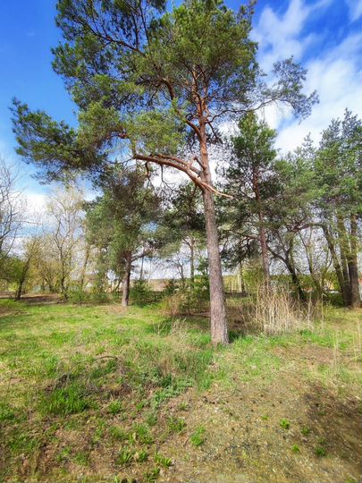 Участок 5,7 сот. (ИЖС)