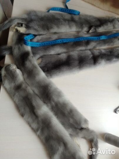 Шкурки норки