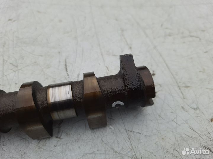 Распредвал впускной Ford Focus 2