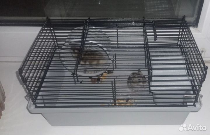 Клетка для грызунов маленькая