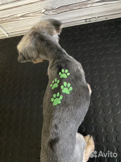 Стрижка собак и кошек. Услуги грумера