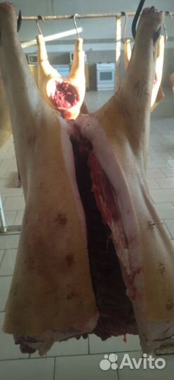 Мясо свинина домашняя / свежий забой