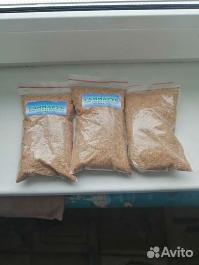 Гаммарус мелкий+ корм для сухопутных черепах