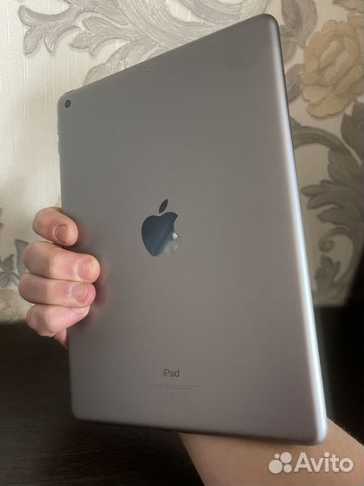 iPad mini 6 cellular