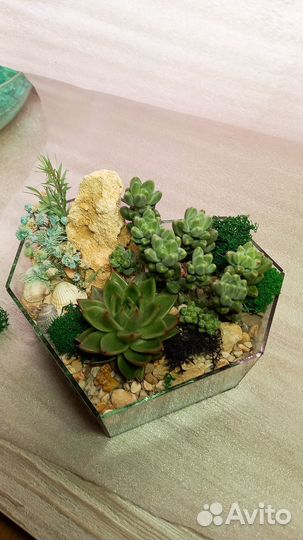 Флорариум-сердце