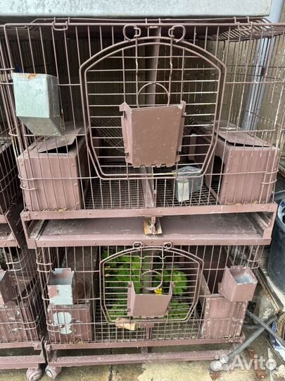 Клетка длягрызунов (шиншиллы,кролики ) металл