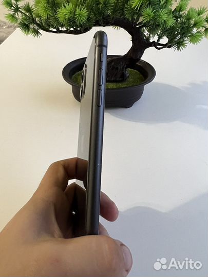 iPhone 11